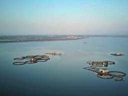 2019-03-01_06-48-24005